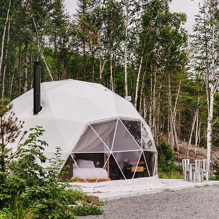 Appartamento Les diamants de l'éternel Saint-David-de-Falardeau Esterno foto